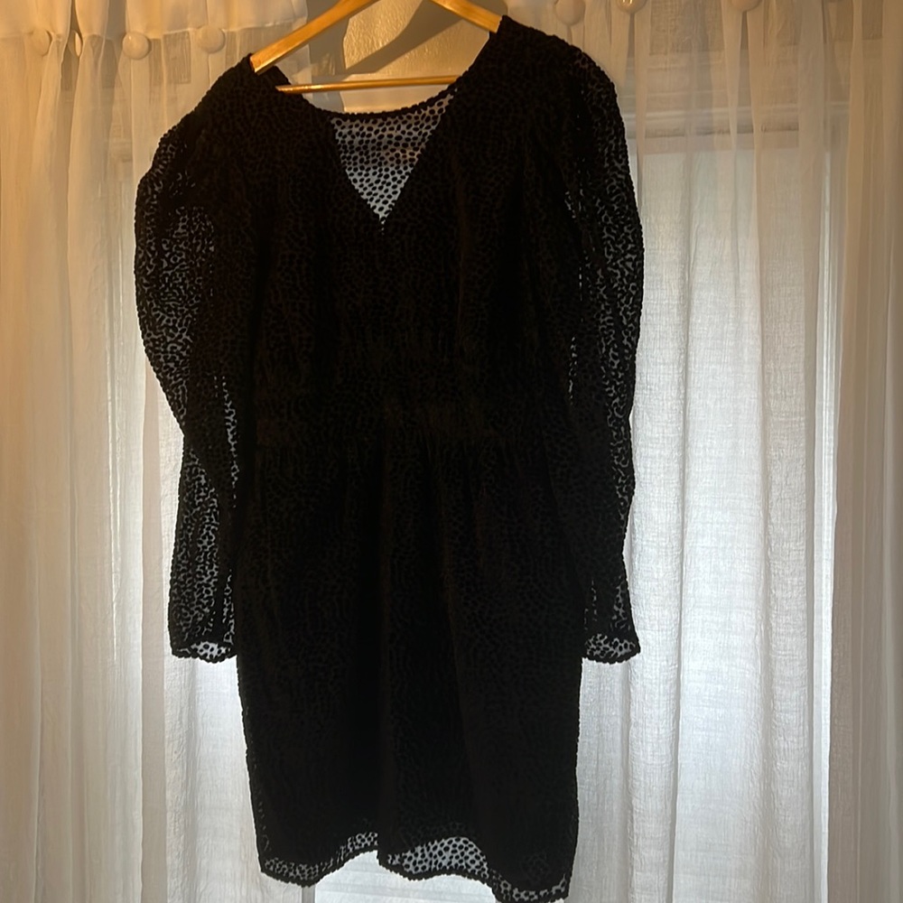Express little black dress